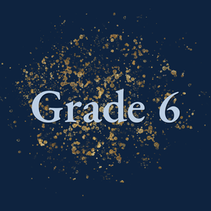 Team Page: Grade 6 - Ms. Ireland